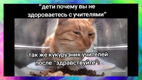 Когда закрыли тик ток. Когда закрыли тик ток